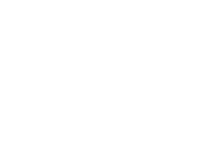 Logo de Viajes Scarlett